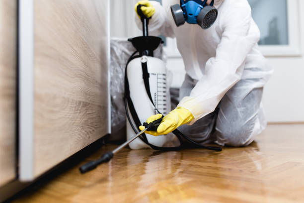 Best Residential Pest Control  in Beecher, MI