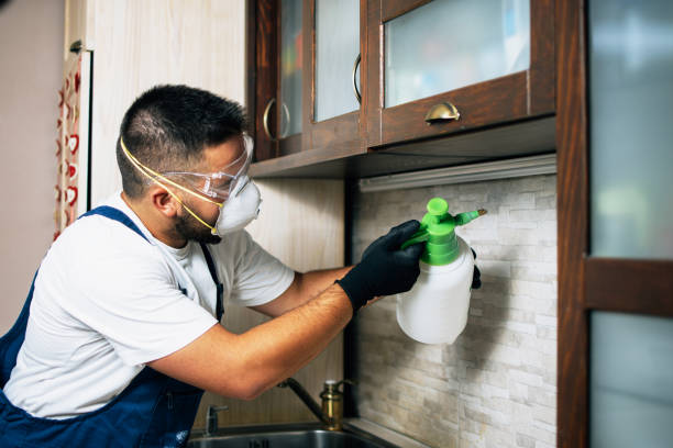 Best Affordable Pest Control Services  in Beecher, MI