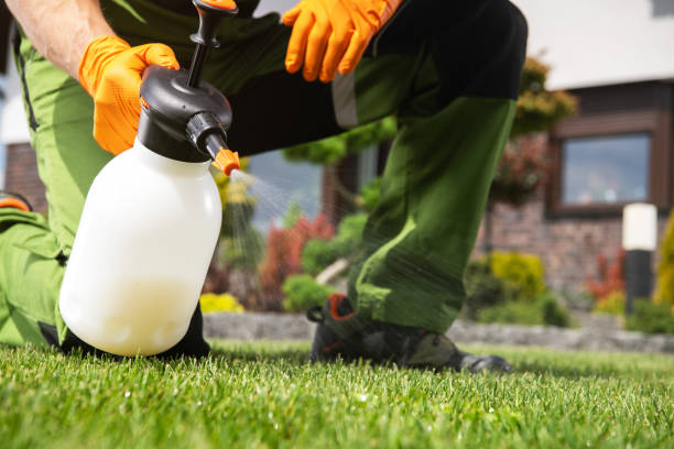 Best Emergency Pest Control  in Beecher, MI