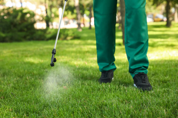 Best Rat Extermination Near Me  in Beecher, MI