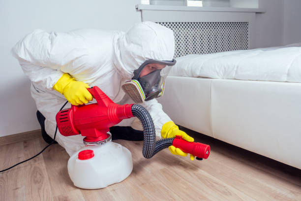 Best Wildlife Control Services  in Beecher, MI