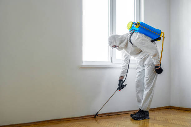Best Residential Pest Control  in Beecher, MI