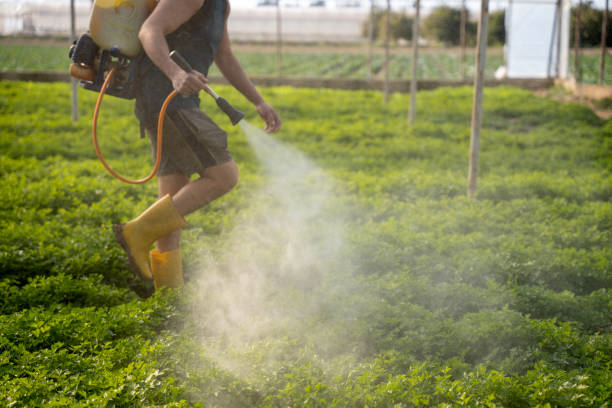Best Best Pest Control Companies  in Beecher, MI