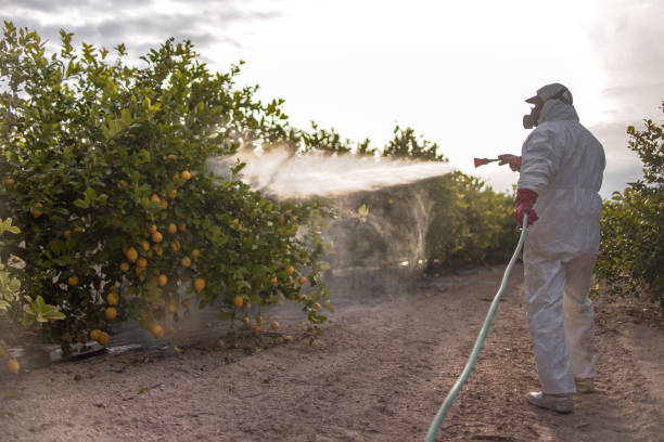Best Pest Control Near Me  in Beecher, MI