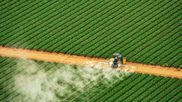 Best Pest Removal Services  in Beecher, MI