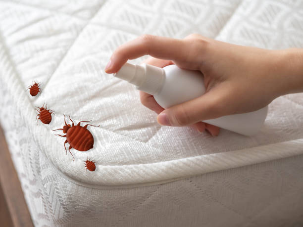 Best Residential Pest Control  in Beecher, MI