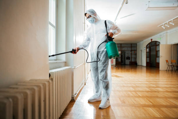 Best Ant Control Services  in Beecher, MI