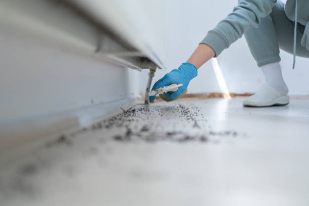Best Bird Control  in Beecher, MI