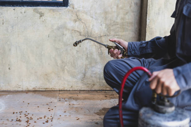 Best Pest Control for Homes  in Beecher, MI